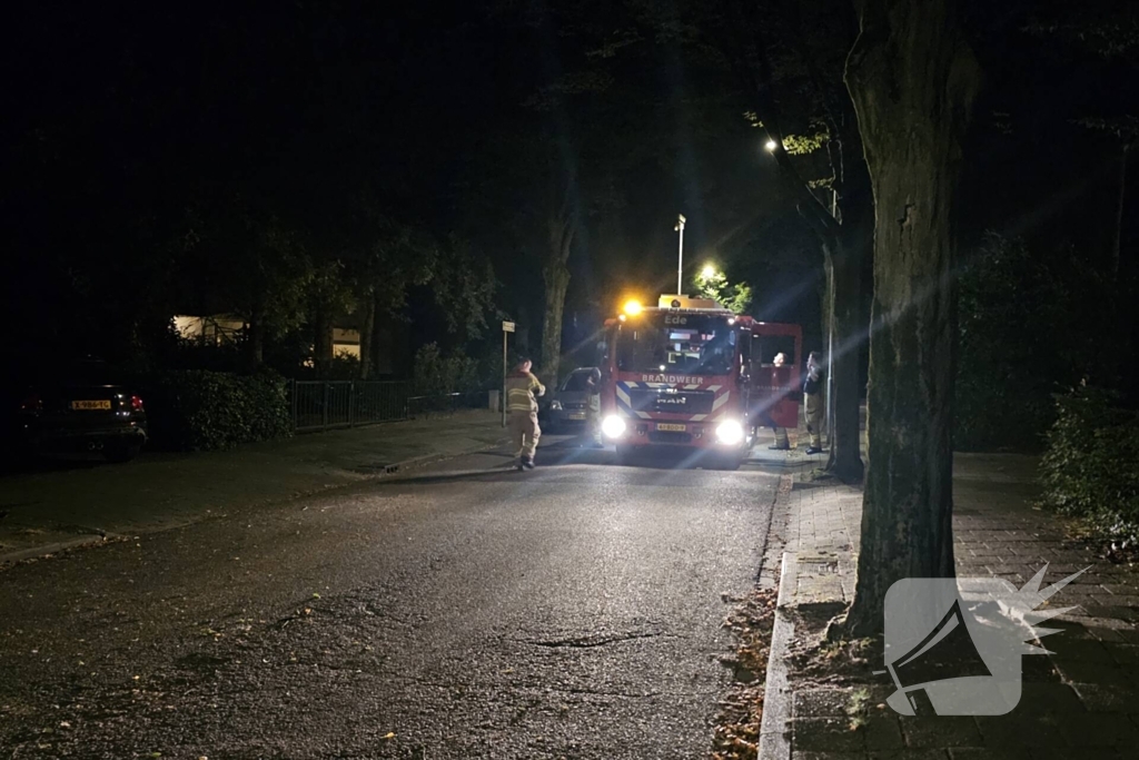 Boom valt tussen twee geparkeerde auto's