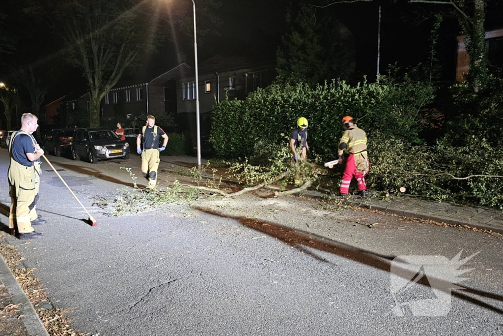 Boom valt tussen twee geparkeerde auto's