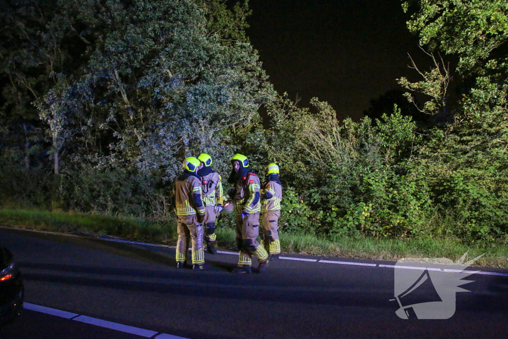 Automobilist belandt in bosschages