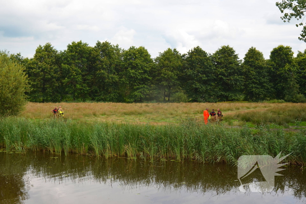 Brandweer haalt te water geraakte schapen uit het water