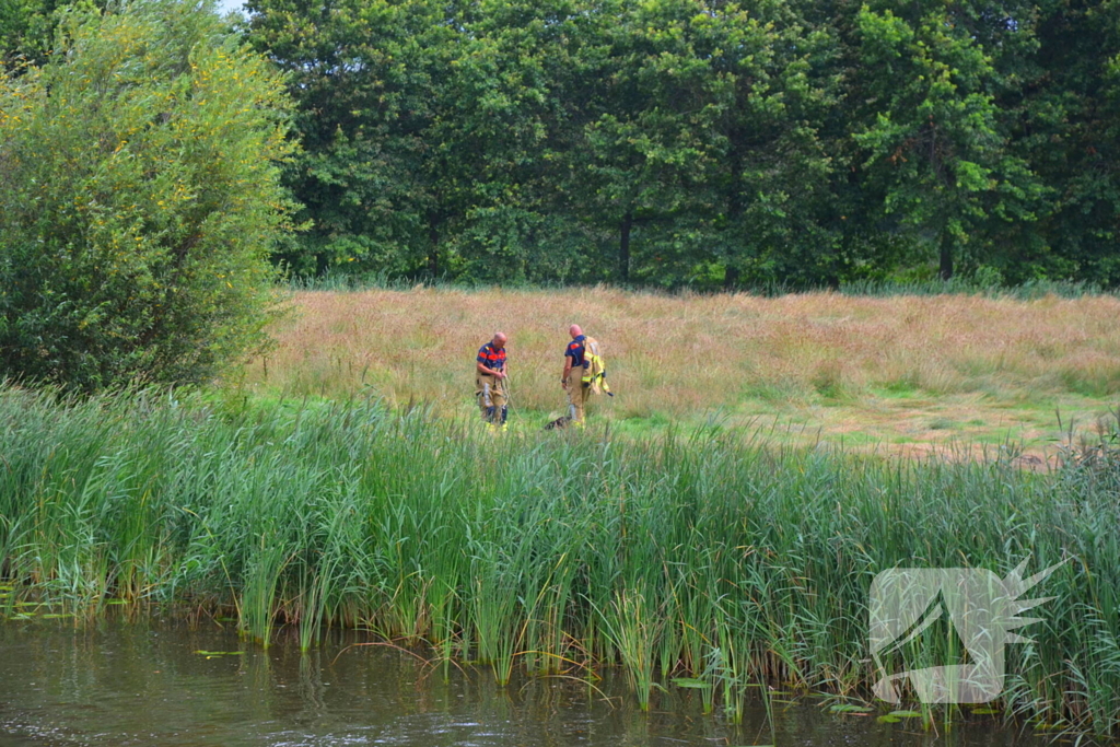 Brandweer haalt te water geraakte schapen uit het water