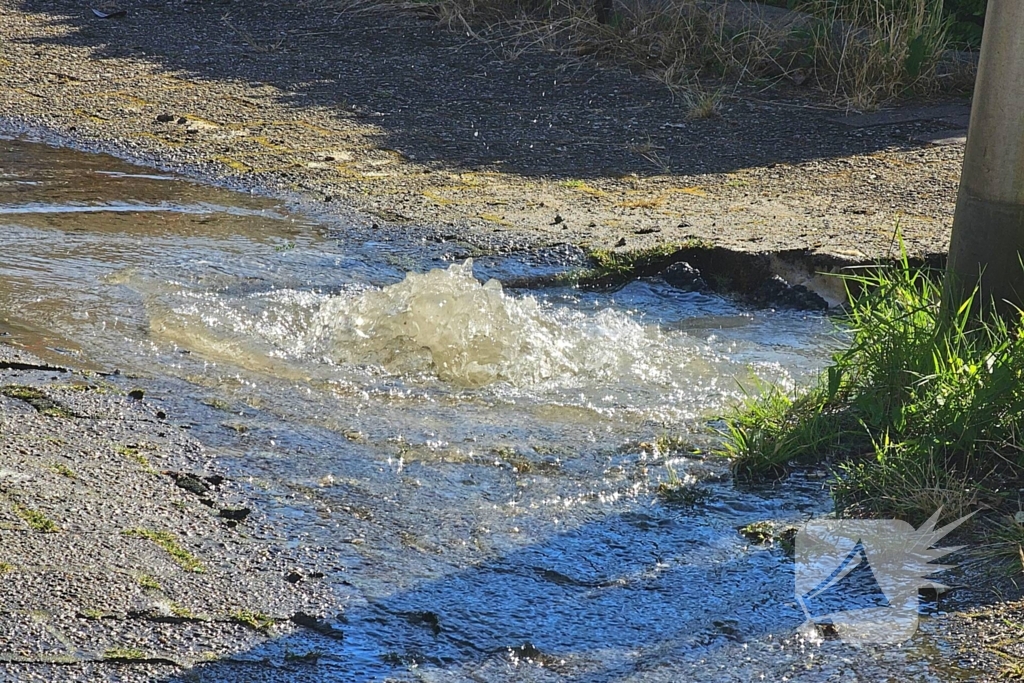 Brandweer ingezet voor waterlekkage