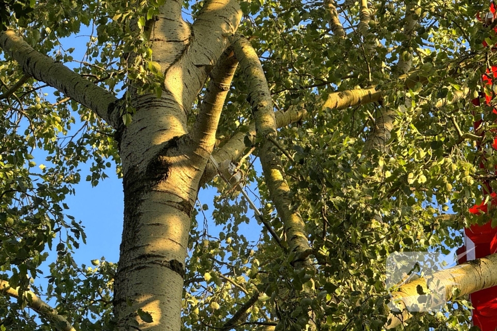 Brandweer ingezet voor dreigend hangende tak