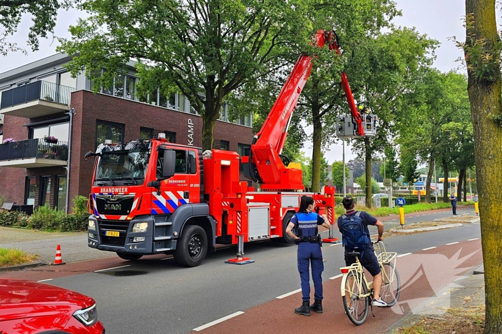 Brandweer verwijdert gevaarlijk hangende tak