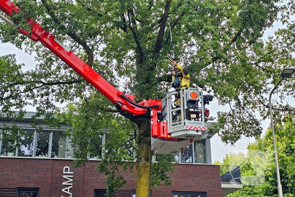 Brandweer verwijdert gevaarlijk hangende tak