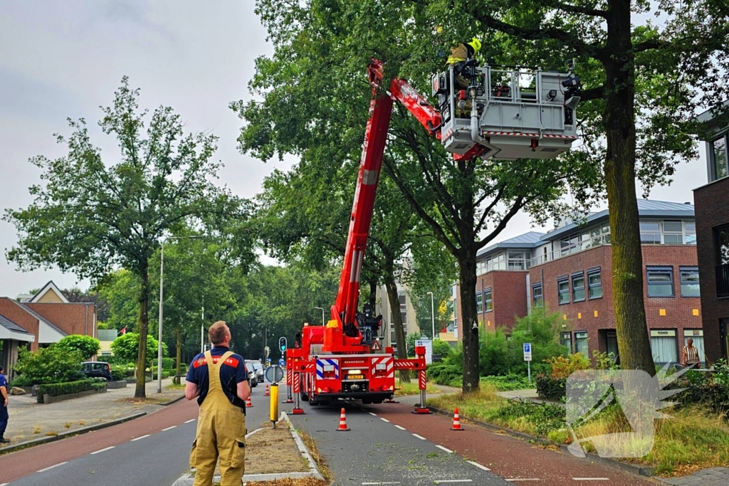 Brandweer verwijdert gevaarlijk hangende tak