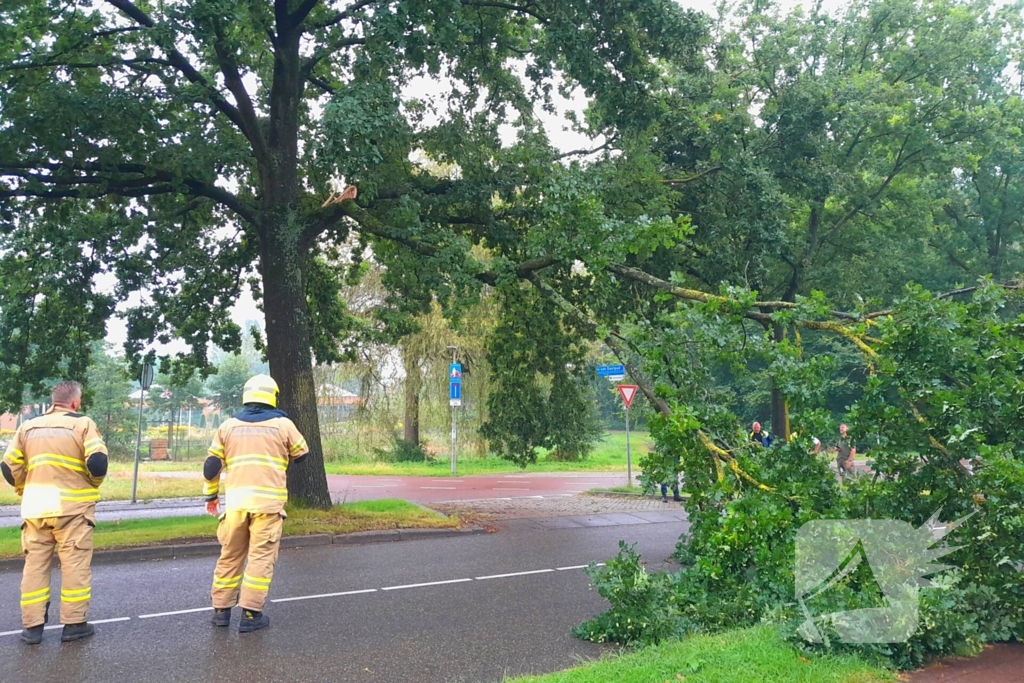 Afgebroken tak verspert wegdek