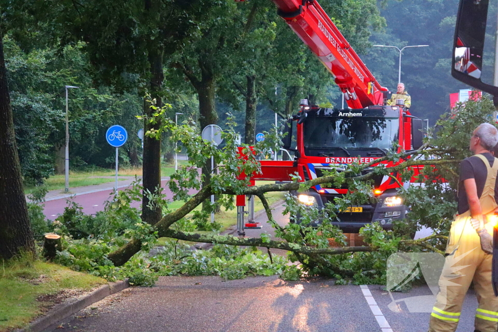 Afgebroken tak verspert wegdek