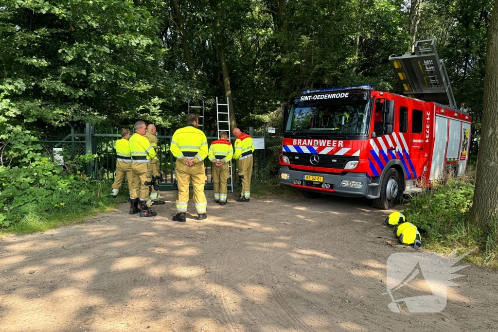 Bosbrand snel onder controle