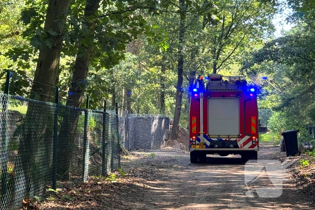 Bosbrand snel onder controle