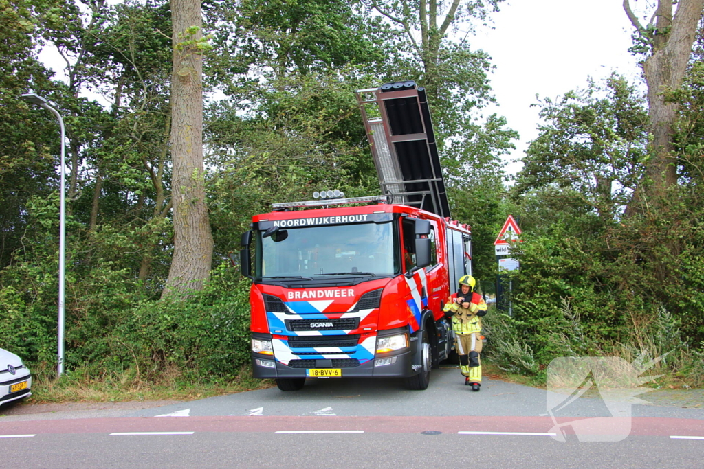 Brandweer verwijdert loshangende tak