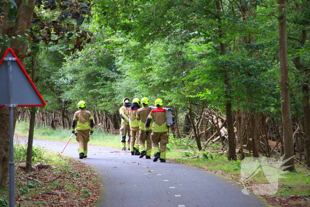 Brandweer verwijdert loshangende tak