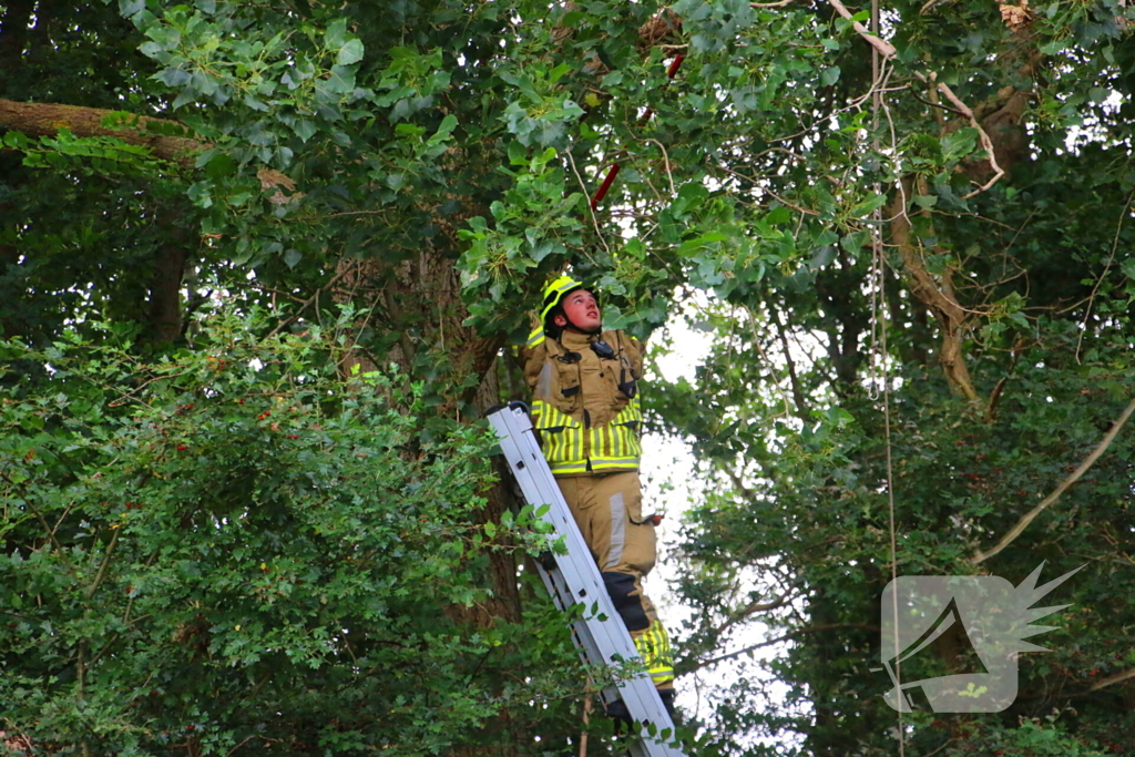 Brandweer verwijdert loshangende tak