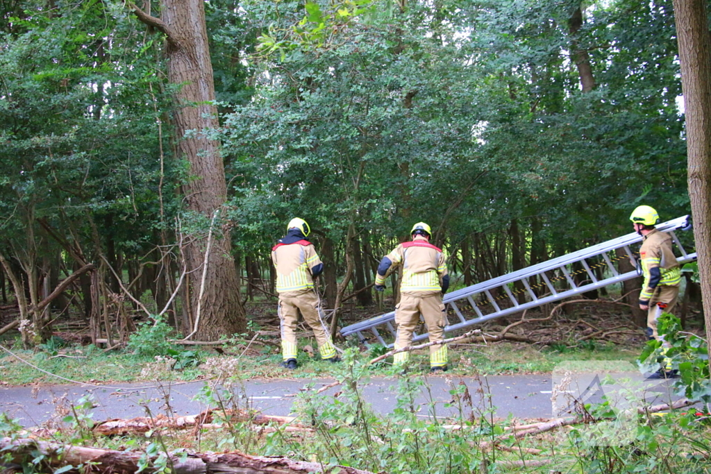 Brandweer verwijdert loshangende tak