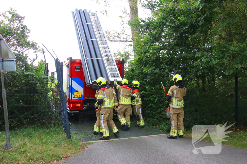 Brandweer verwijdert loshangende tak