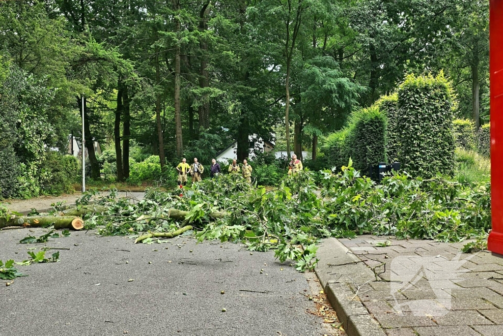 Brandweer verwijdert gevaarlijk hangende tak met hoogwerker