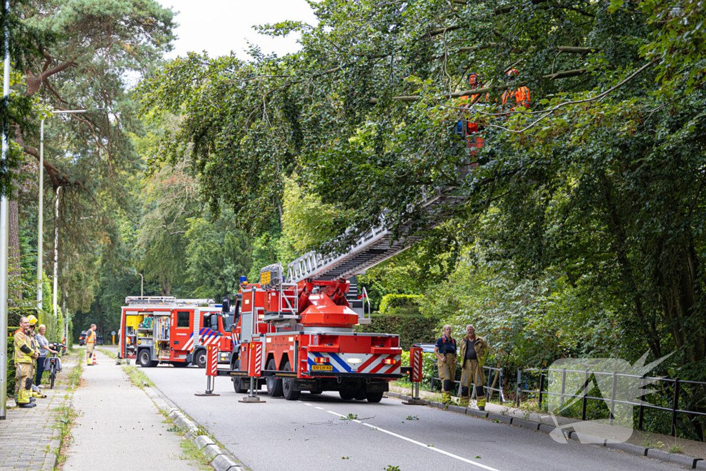 Brandweer in actie voor laaghangende tak