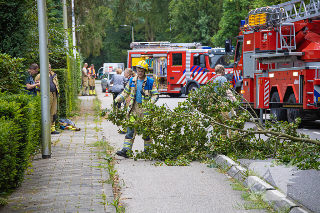 Brandweer in actie voor laaghangende tak