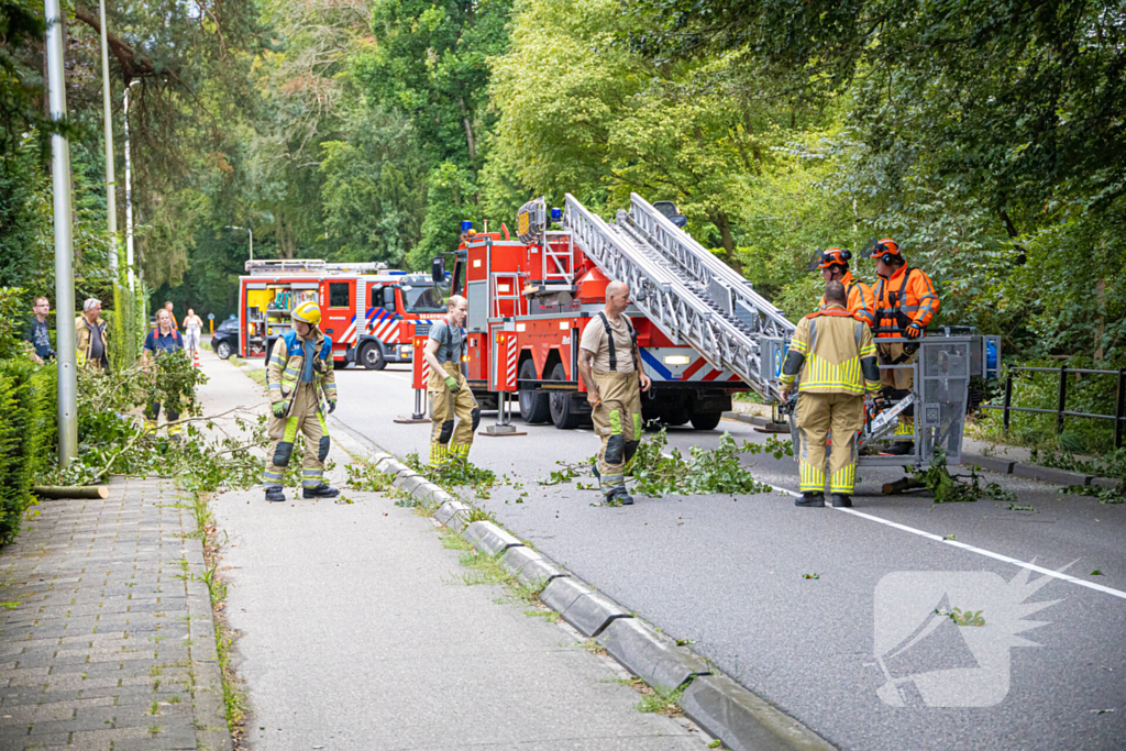 Brandweer in actie voor laaghangende tak