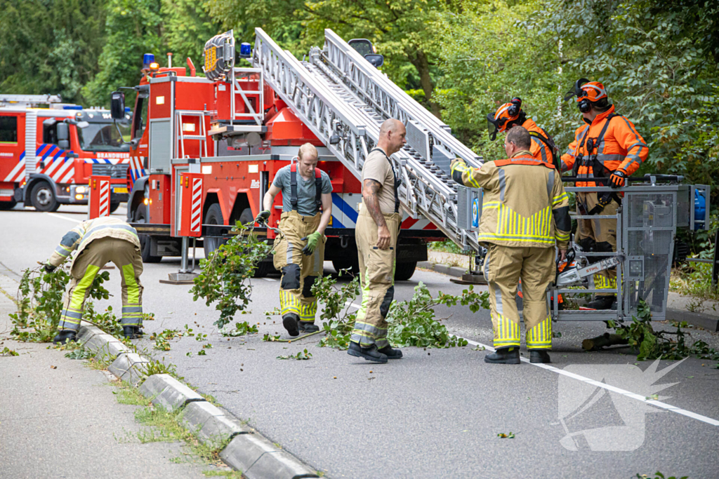 Brandweer in actie voor laaghangende tak