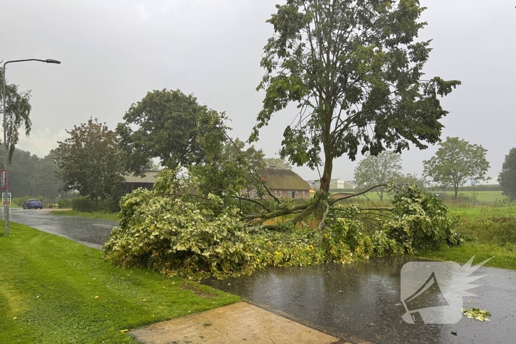 Weg verspert door omgevallen boom