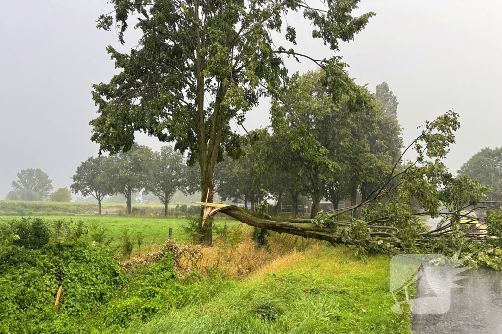 Weg verspert door omgevallen boom