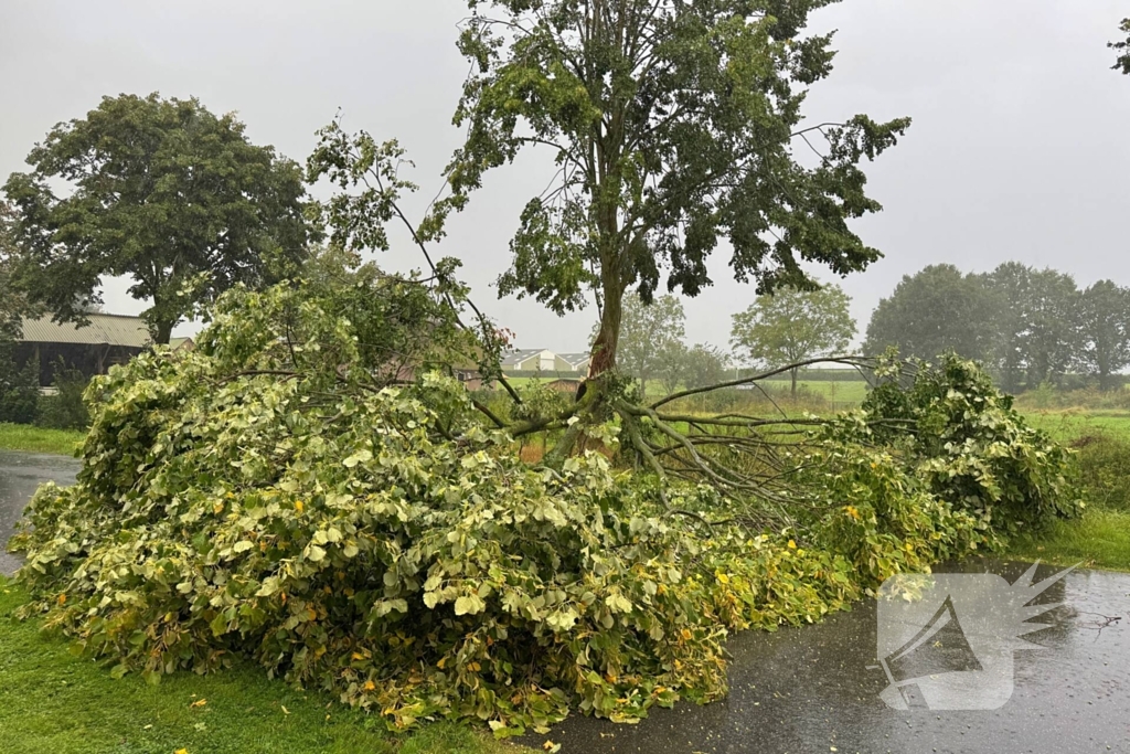 Weg verspert door omgevallen boom