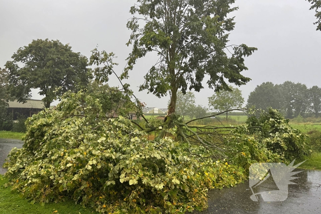 Weg verspert door omgevallen boom