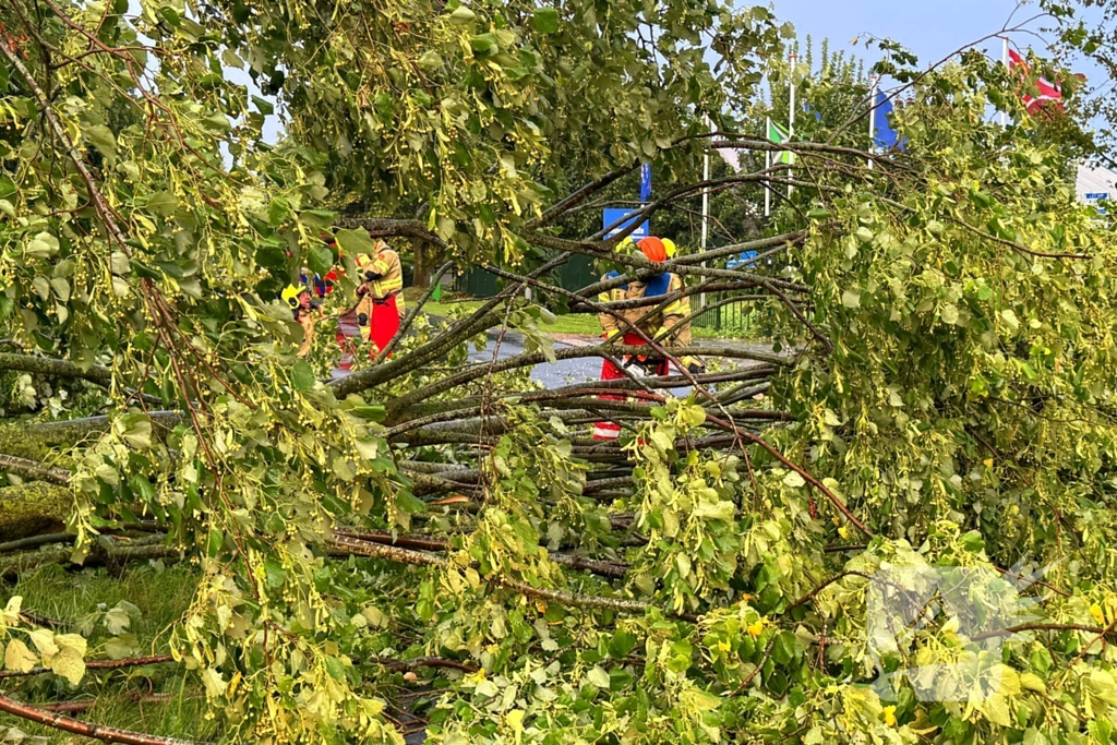 Weg verspert door omgevallen boom