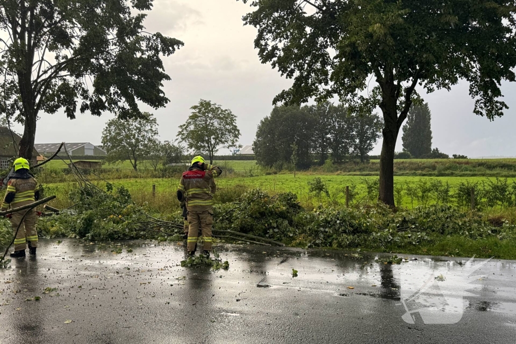 Weg verspert door omgevallen boom