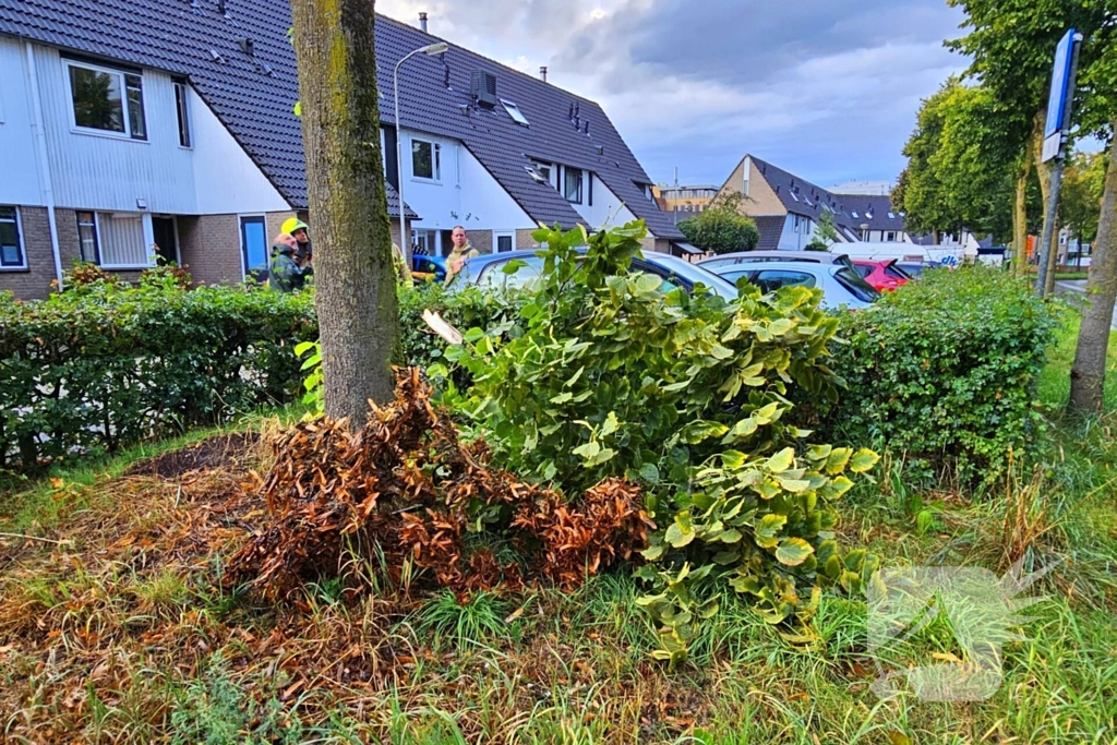 Tak valt op auto van invalide