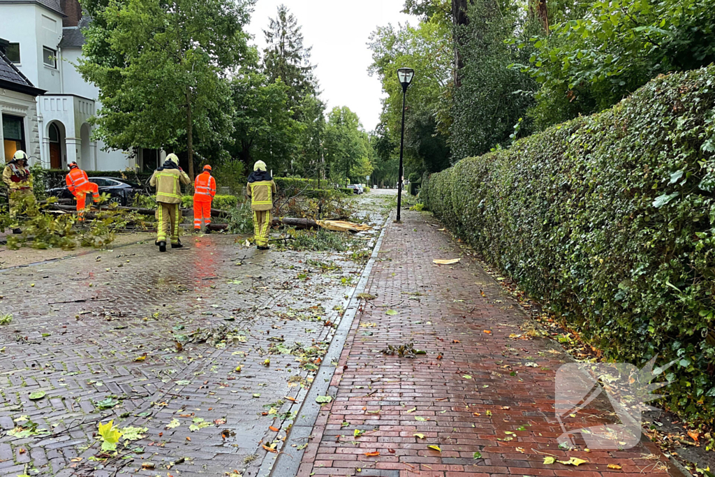 Weg geblokkeerd door omgewaaide boom