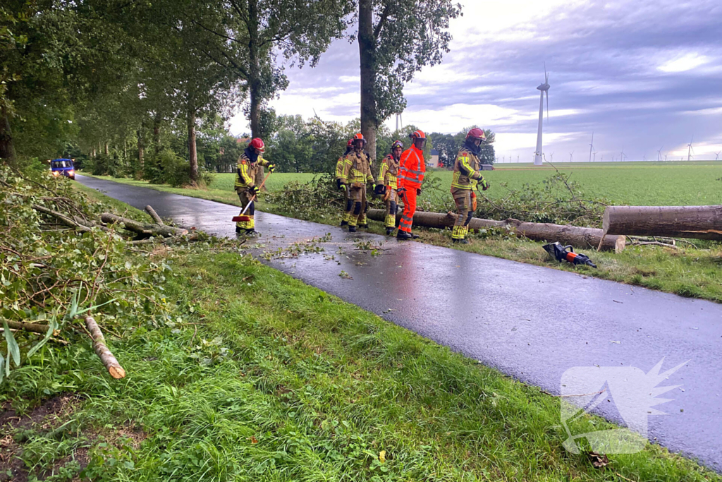 Brandweer zaagt omgewaaide boom in stukken