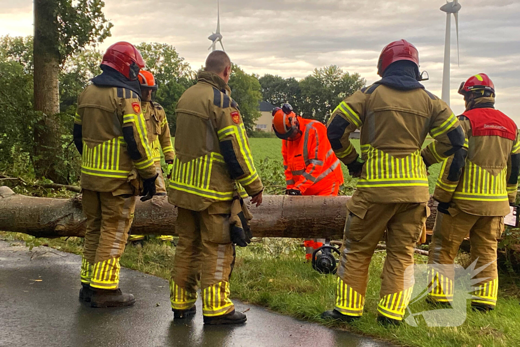 Brandweer zaagt omgewaaide boom in stukken