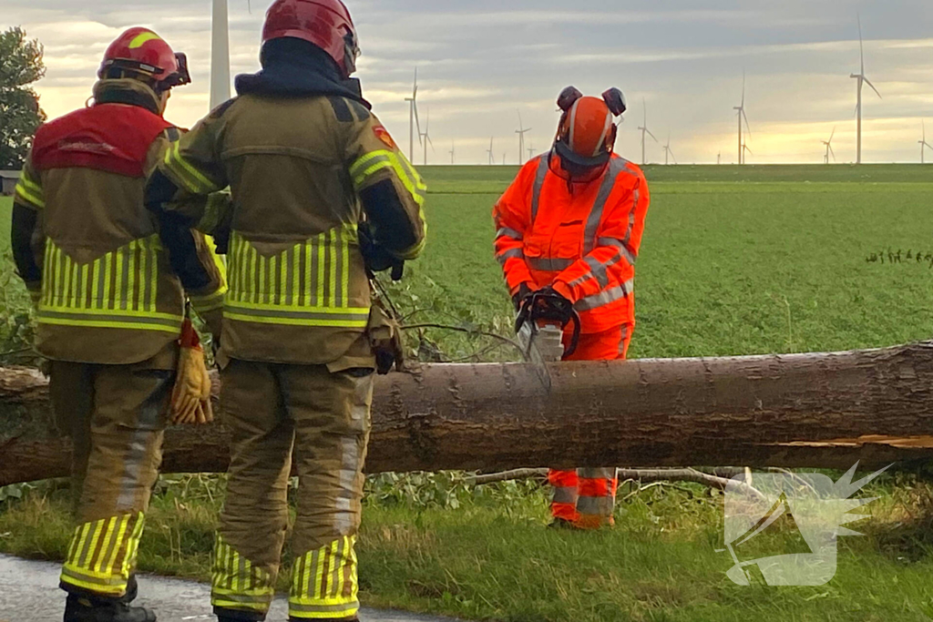 Brandweer zaagt omgewaaide boom in stukken