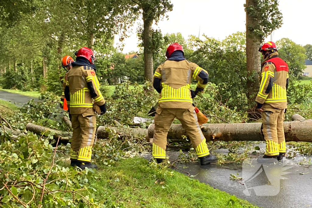 Brandweer zaagt omgewaaide boom in stukken