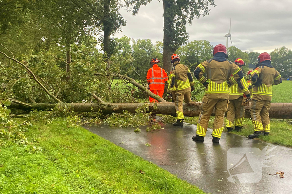 Brandweer zaagt omgewaaide boom in stukken