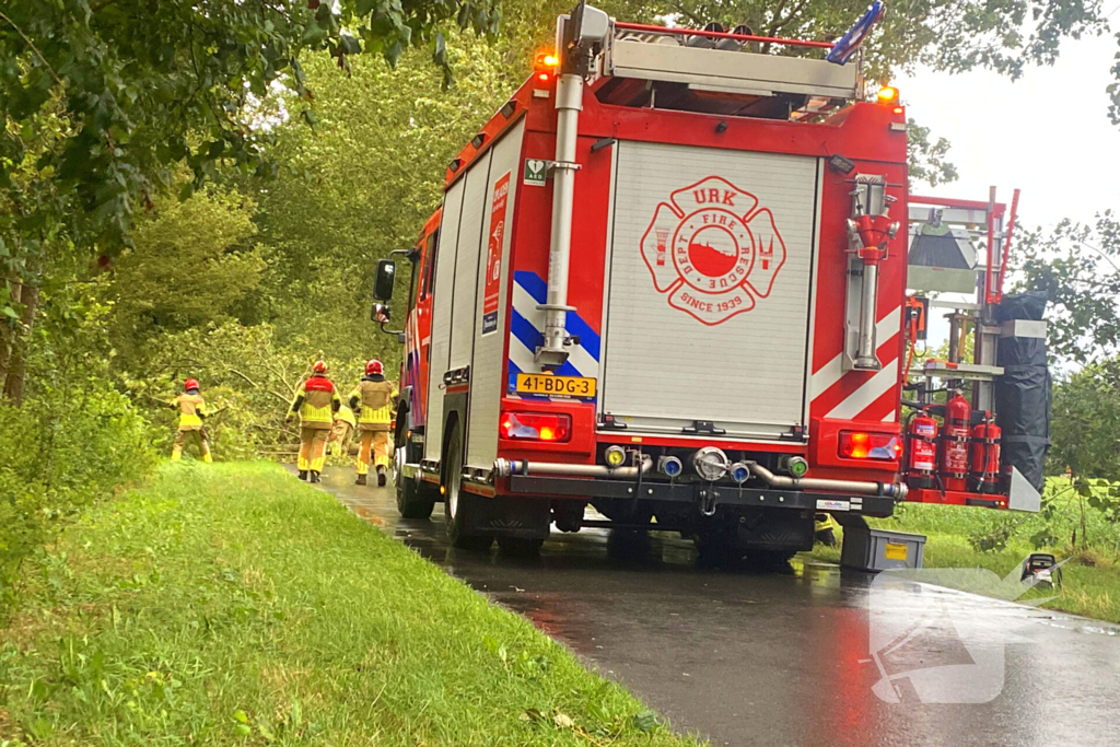 Brandweer zaagt omgewaaide boom in stukken