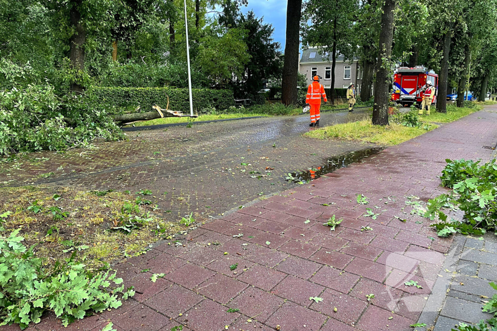 Boom breekt af en belandt naast weg