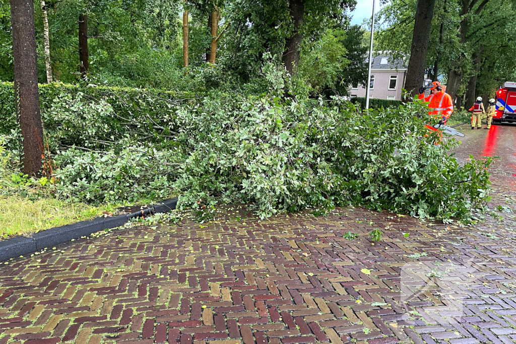 Boom breekt af en belandt naast weg