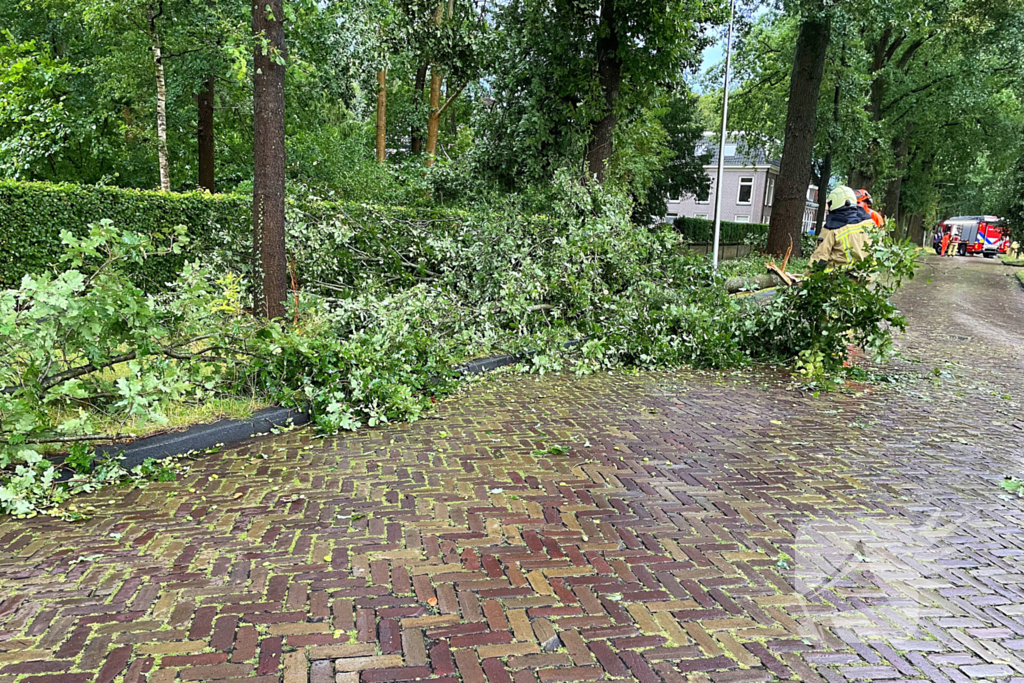 Boom breekt af en belandt naast weg