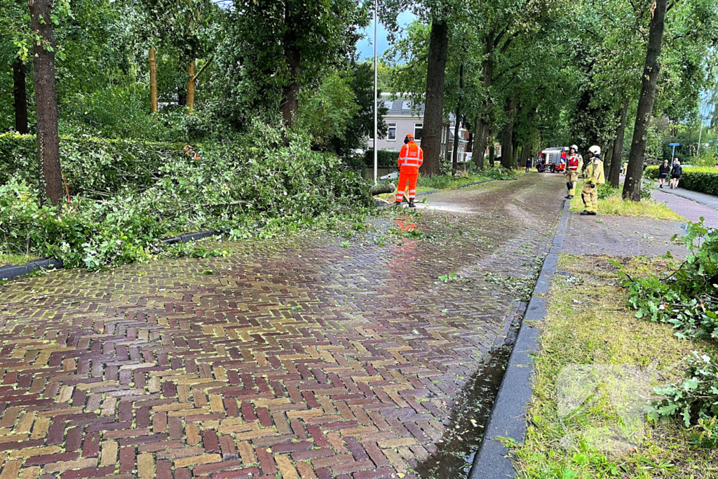 Boom breekt af en belandt naast weg