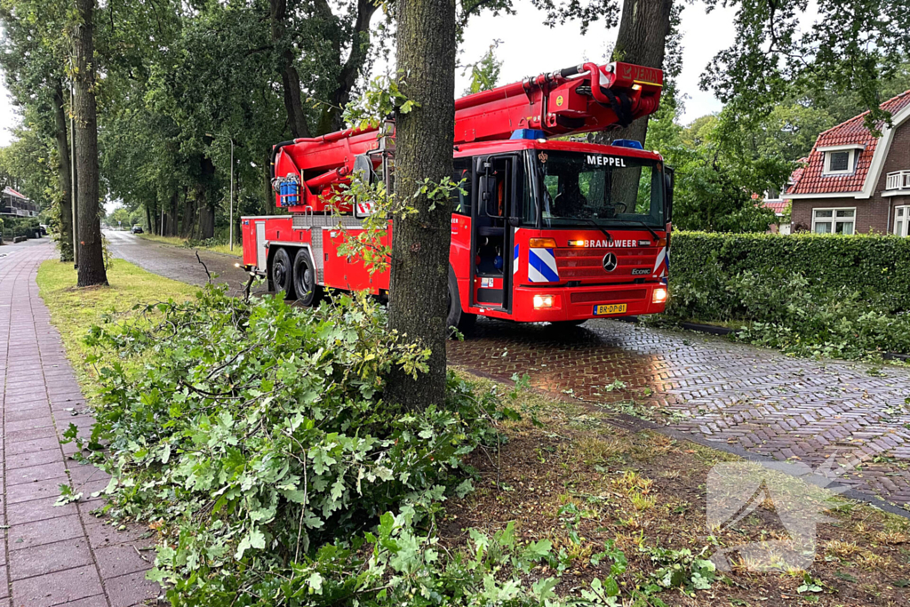 Boom breekt af en belandt naast weg