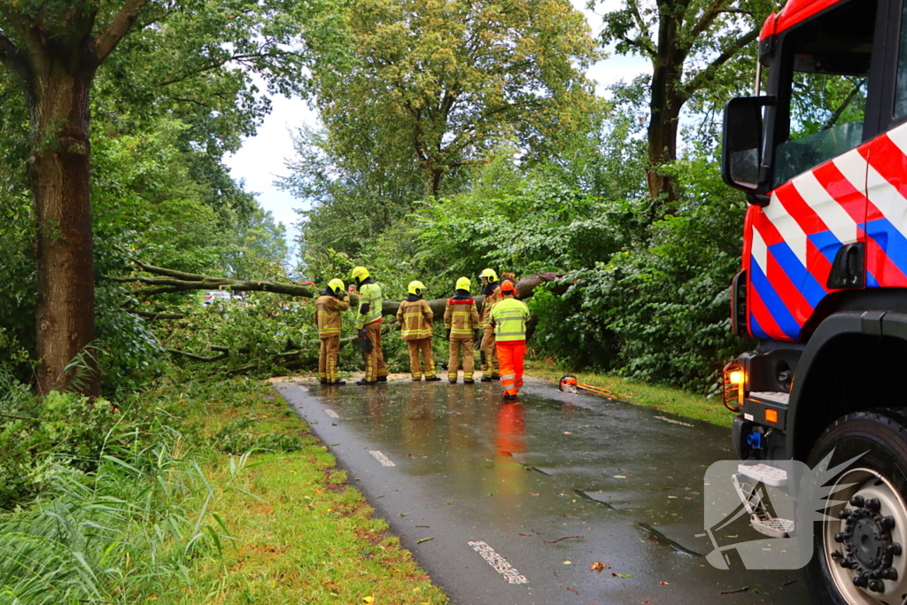 Verkeer verhinderd door grote tak op weg