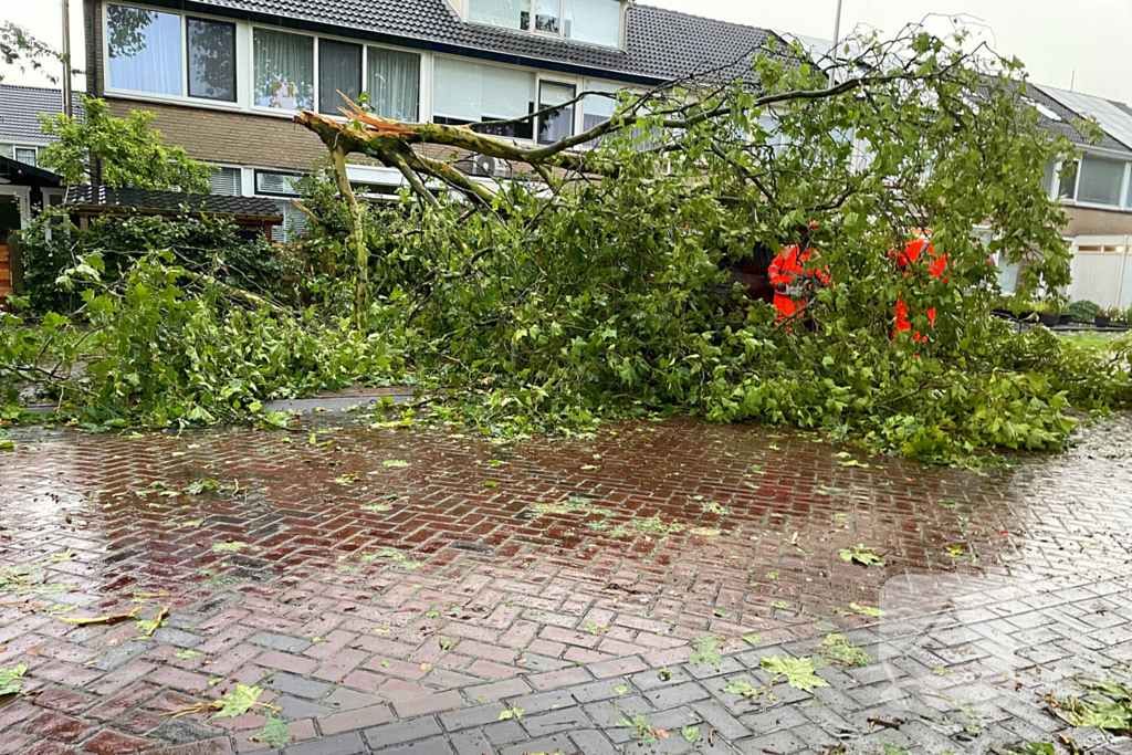 Grote takken belanden op auto vlak voor woning