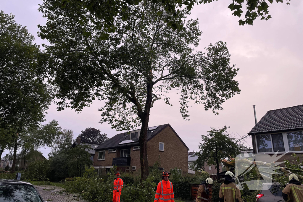 Grote takken belanden op auto vlak voor woning