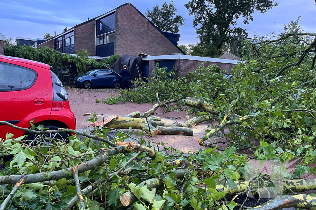 Ravage in straat door storm