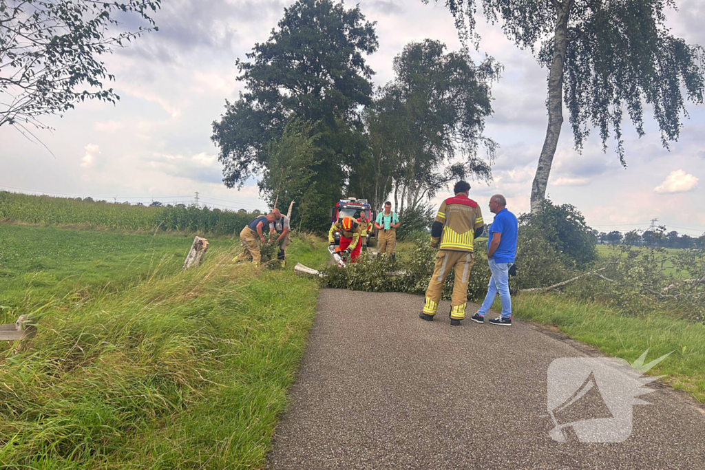 Omgevallen boom verspert wegdek