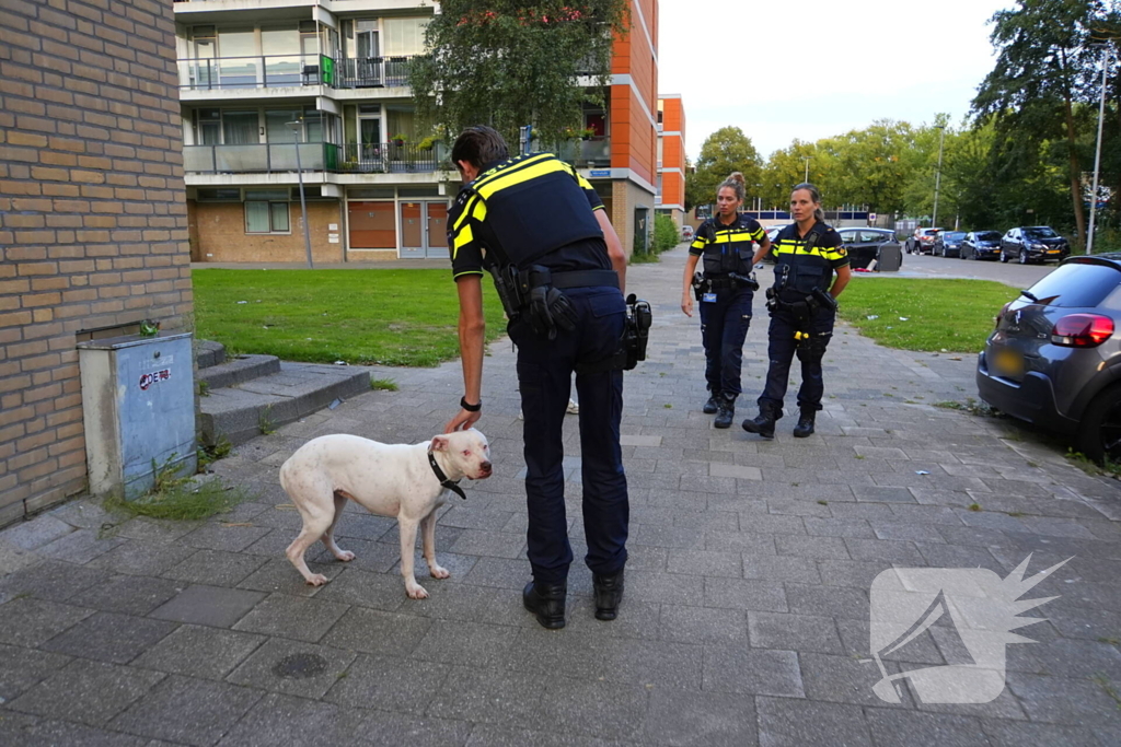 Politie druk met loslopende hond van beschonken bewoner