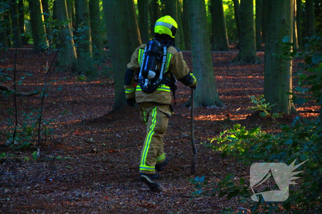 Brand in bos beperkt gebleven